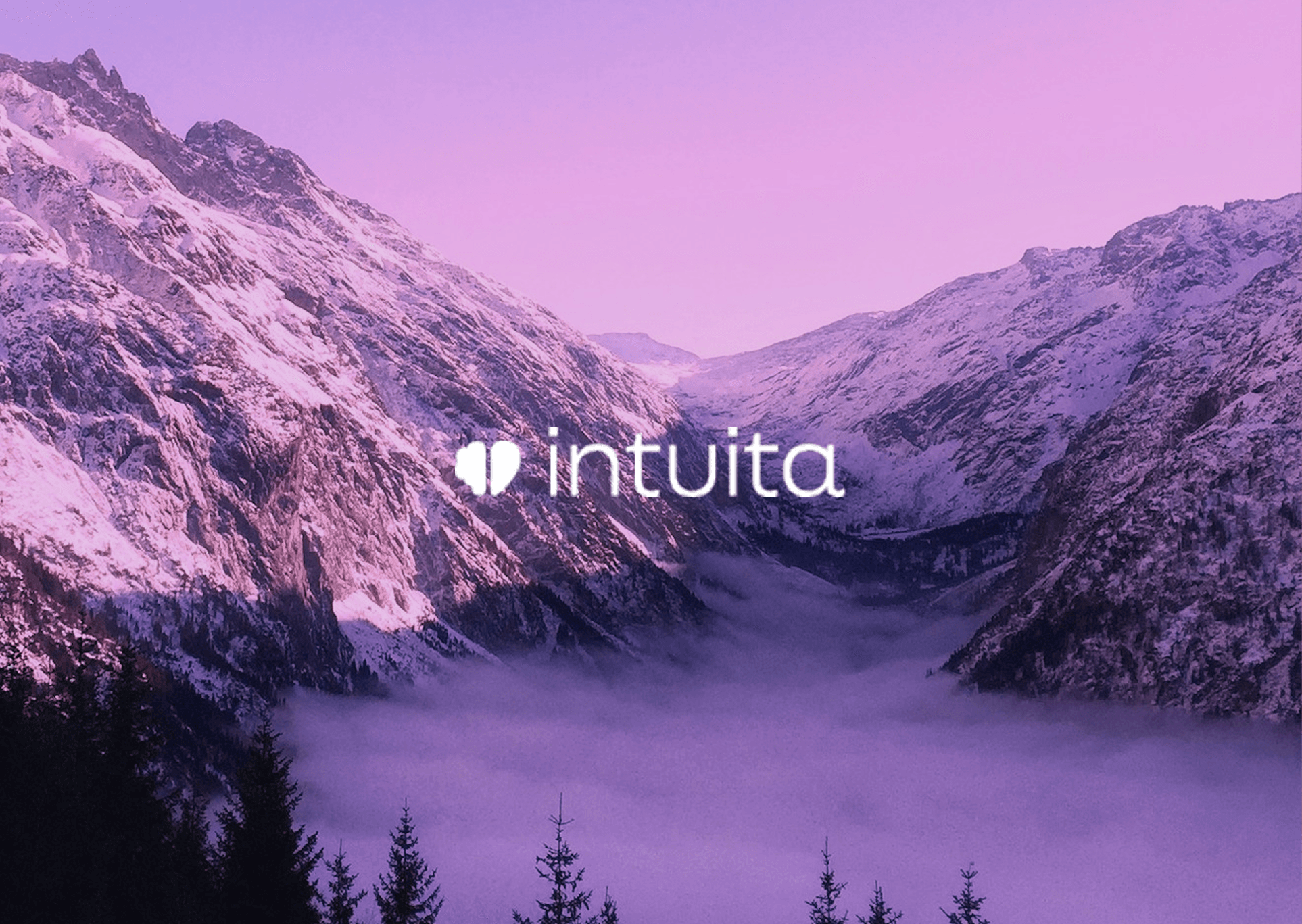 Intuita — Outil Agence