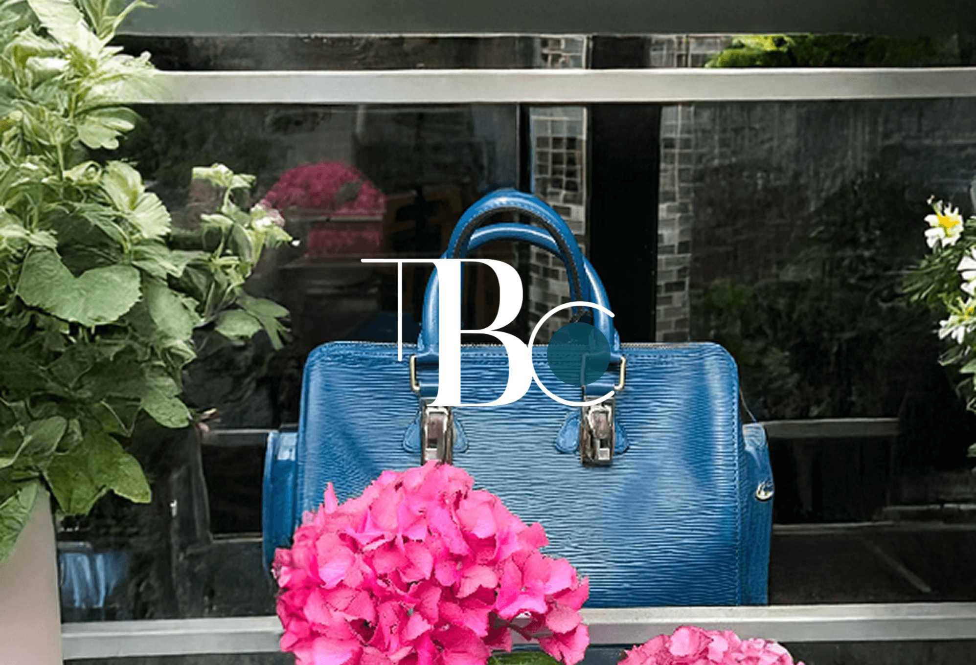 The Brand Collector — Luxe B2B