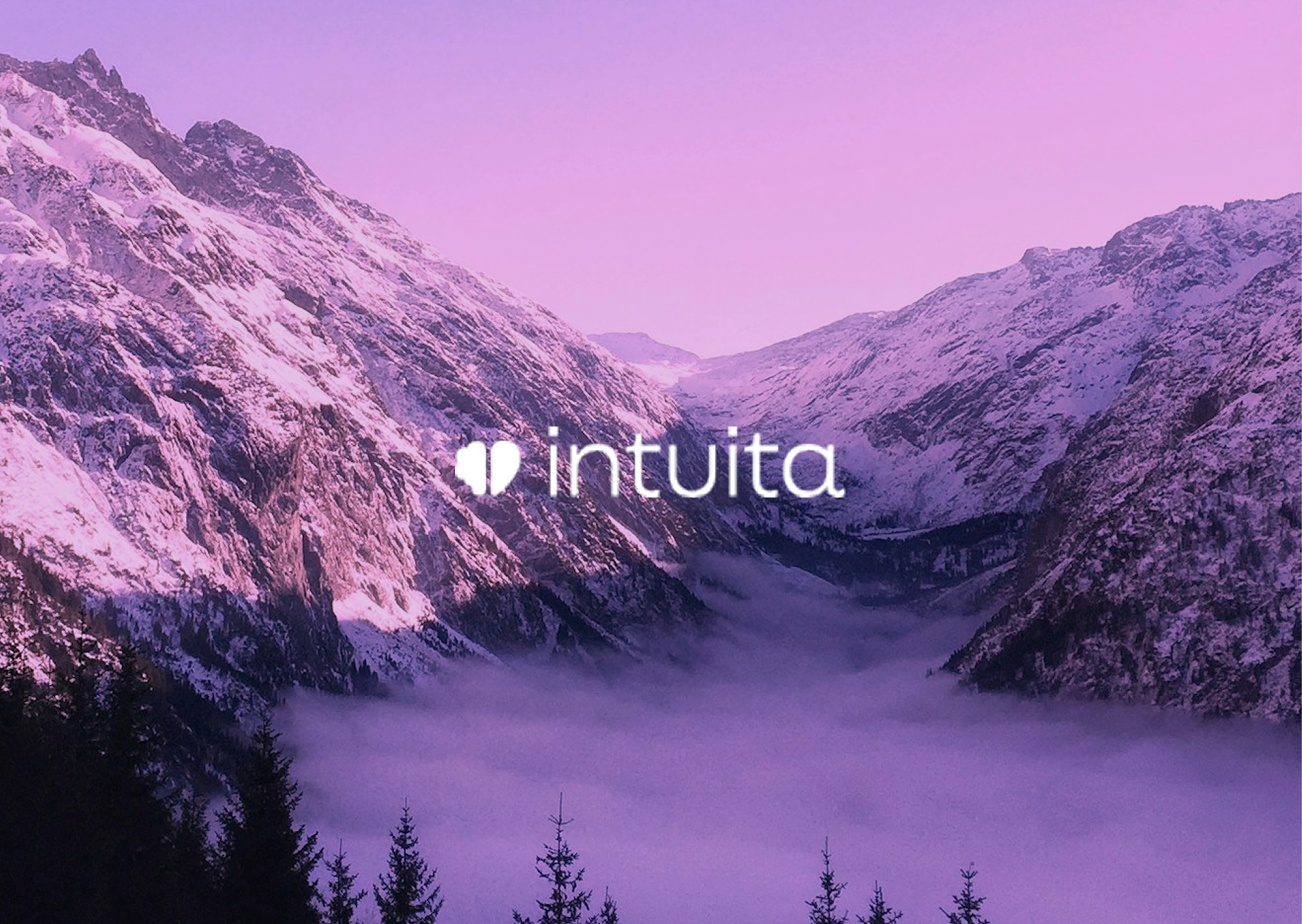 Intuita